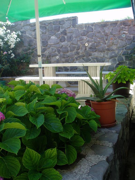 Apartment Bionda Senj (Lika-Senj)