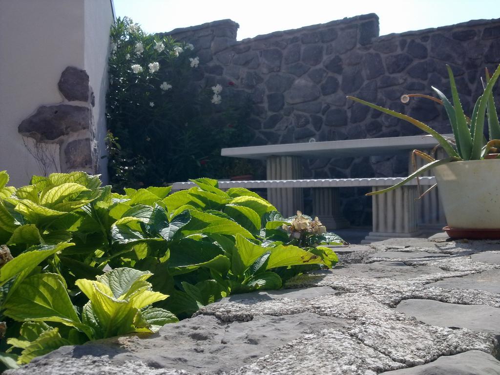 Apartment Bionda *